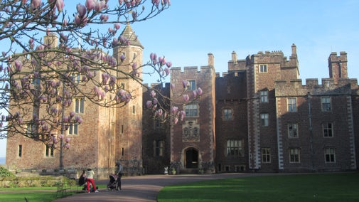 The front of Dunster Castle with a blooming pink magnolia in the foreground
